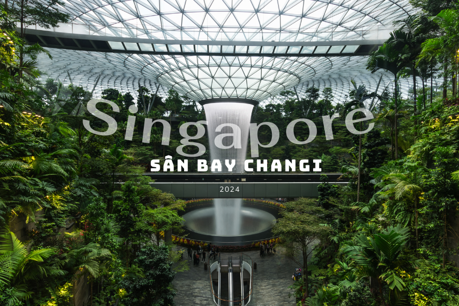 Khám Phá Https S666.Sa.Com Nền Tảng Giải Trí Đỉnh Cao