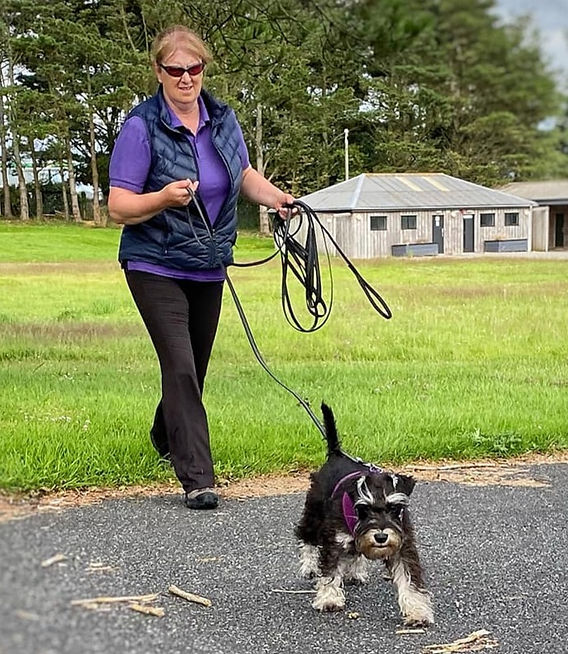 Https 69Vnxn.Com Khám Phá Thế Giới Giải Trí Đa Dạng