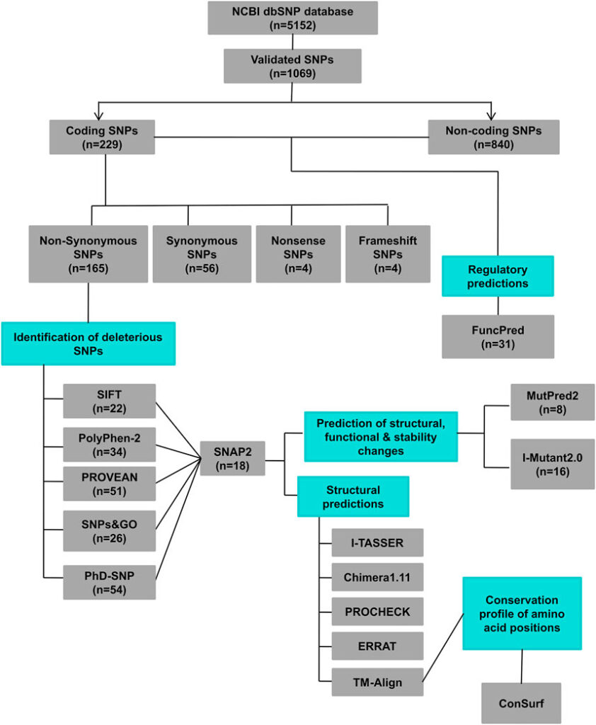 Nha Đât Hai Phong Khám Phá Thế Giới Giải Trí Trực Tuyến Đa Dạng Và Hấp Dẫn