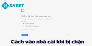 Phiên bản web của nhà cái SHBET COM – Trải Nghiệm Cá Cược Tiên Tiến và An Toàn
